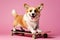 Corgi dog posing on a lskateoard in front of a pink background. AI generative studio shot