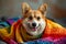 Corgi dog in pride parade. Concept of LGBTQ pride. AI generated