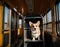 A corgi dog is traveling on a train. AI generated.