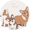 Corgi dogs of different colors - cute illustration with pets