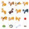 Corgi dogs icons set, isometric style