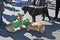 Corgi dogs at Saint Patrick`s Day celebration in Moscow