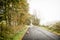 Corgi on a foggy country road