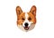 Corgi Head Vector Tracing Art Design Portrait