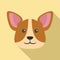 Corgi icon, flat style