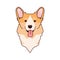 Corgi icon. A Welsh corgi is a small dog about thirty centimeters tall and weighing up to fourteen kilograms.