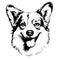 Corgi puppy dog. Sticker on the wall. Sketch, drawn, artistic, portrait of an Corgi puppy