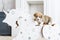 Corgi puppy leaning on a rocking horse in nursery room