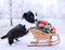 Corgi puppy with New Year sled with gifts on the winter background