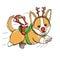 Corgi Puppy Reindeer With Santa Toy, Smiling and Running at Full Speed