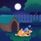 Corgi sleeping on meadow near his house on backyard. Night landscape with starry sky, full moon, green trees, brushes