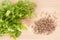 Coriander Leaves And Seeds