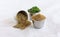 Coriander Powder with Coriander Seeds and Leaves in Steel Bowls