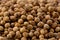 Coriander Seeds (Coriandrum sativum)