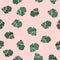 Coriander vector hand drawn illustration seamless pattern