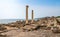 Corinthian columns and ruins of ancient Tharros in Sardinia