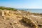 Corinthian columns and ruins of ancient Tharros in Sardinia