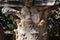 Corinthian order column in ancient Corinth.