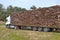 Cork, Cork pieces. Many pieces from the cork oak bark, natural raw material, stacked on a truck, ,