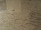 Cork floor covering champagne colored background