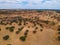 Cork oaks forest field in Alentejo, portugal aerial shot