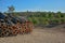 Cork, stacked cork tree bark