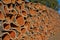 Cork, stacked cork tree bark