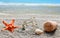 Cork stopper of champagne with number 2019 and seashell with starfish on sand beach.