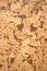 Cork Wood Texture