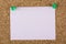 Corkboard with a sheet from a notebook