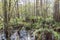 Corkscrew Swamp Sanctuary