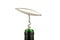 Corkscrew and Wine bottle