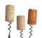 Corkscrews with wine corks on white background