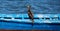 Cormoran relaxing on a wooden pole in a pond in southern Sardinia