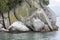 Cormorans on cliffs at Tonga island shore, Abel Tasman park ,  New Zealand