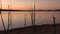 Cormorant Bay in Lake Wivenhoe, Queensland