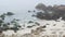 Cormorant birds flock. Rocky craggy pebble beach. Foggy misty California coast.