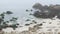 Cormorant birds flock. Rocky craggy pebble beach. Foggy misty California coast.