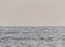 Cormorant dive-bombing into the Pacific ocean near Point Mugu, Ventura County, California