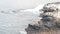 Cormorant flock, colony of birds, seals or sea lions, rock by water, California.