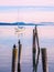 Cormorant on piles at the shore. Sidney, BC, Vancouver Island, C