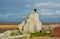 Cormorant Sculptures. The Tern Project, Morecambe Bay. Lancashire, UK