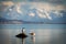 Cormorant and seagull land in a rock in Puerto Natales