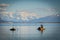 Cormorant and seagull land in a rock in Puerto Natales