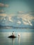 Cormorant and seagull land in a rock in Puerto Natales