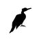 Cormorant or shag black silhouette, flat vector illustration isolated on white background.