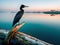 A cormorant sitting on a dry branch from a tree in the water. Generative AI.