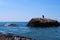 cormorant sitting on a rock