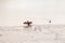 A cormorant spreads its wings by the muddy banks of the River Tyne in Newcastle England