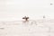 A cormorant spreads its wings by the muddy banks of the River Tyne in Newcastle England